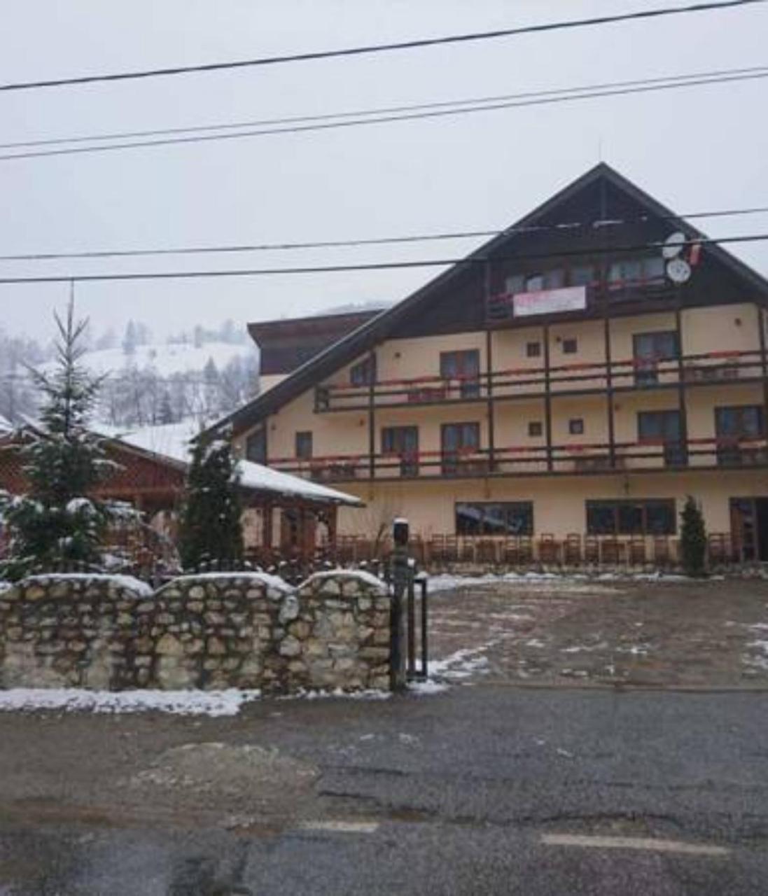 Pension Steaua Ariesului Albac Exterior foto